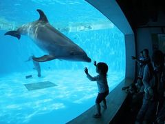 -西海国立公园九十九岛水族馆