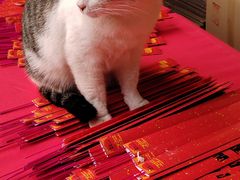 -龙华素斋(龙华路店)