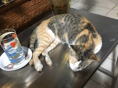 -ခြောက်ထပ်ကြီးရွှေသာလျောင်းဘုရားကြီး