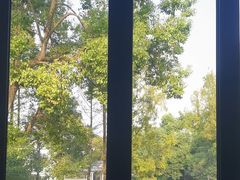 -J Create城市露营咖啡·简餐·宠物(上海动物园店)