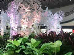-樟宜机场T4航站楼