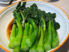-九毛九西北菜(百信广场店)
