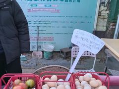 -大自然农场蔬菜草莓采摘园
