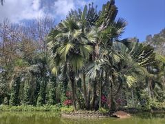 -海南热带野生动植物园