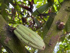 -歌斐颂巧克力小镇