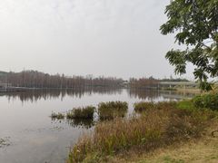 -白鹭湾湿地公园