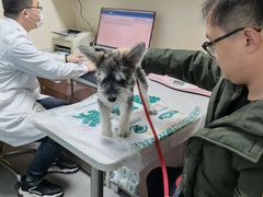 -瑞派宠物医院·24h·骨外科·皮肤科·全科宠物医疗转诊中心(沈阳浑南院)