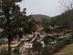 -桃花岭景区