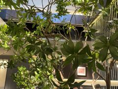 -杏花村水席楼·洛阳水席(老城十字街店)