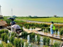 -盘锦红海温泉乐园