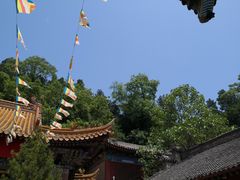 -兴教寺