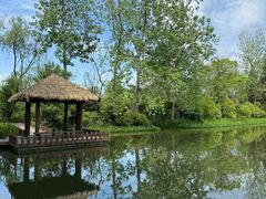 -溱湖国家湿地公园