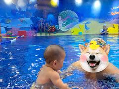 -ABC Swim亲子游泳俱乐部(河西店)
