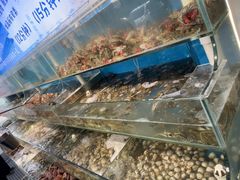 -仙螺岛海鲜自助餐厅(总店)