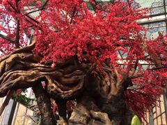 iphone_upload_pic-天目湖山水园