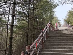 -秦岭天竺山生态文化旅游景区