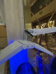 -碧莲盛·不剃发植发