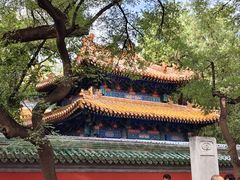 -北京国子监胡同