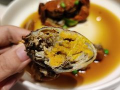 -新吉士·上海菜(浦东LCM置汇旭辉店)