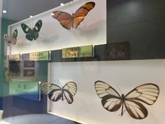 -上海昆虫博物馆