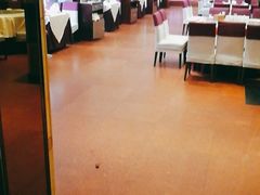大堂-凯鸽酒楼(操场城店)