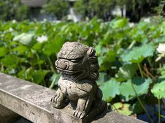 -上海醉白池公园