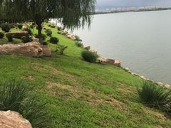 -丁香湖公园