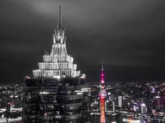 -上海柏悦酒店
