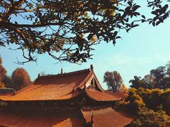 -岳麓山风景名胜区