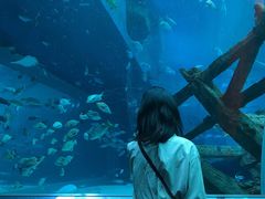 -新加坡海洋生态馆