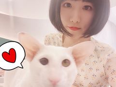 -飞行喵MR PILOT|猫舍·猫咖(静安大融城店)