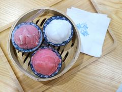茱萸红树莓雪葩-歎雪糕低糖低脂Gelato冰淇淋