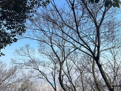 -惠山国家森林公园