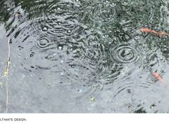 -刘小忙把子肉(北园大街总店)