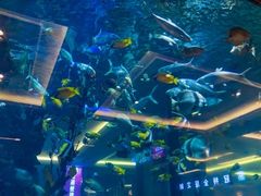 -碧桂园凤凰城酒店(南京店)