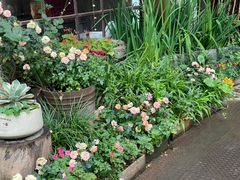 -听香·678茶铺(猛追湾店)