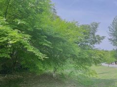 -南山风景名胜区