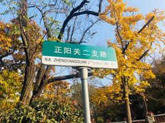 -八大关景区