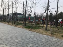 -江苏三台山国家森林公园