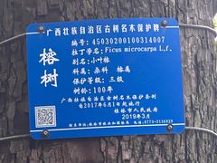 -桂林独秀峰王城景区