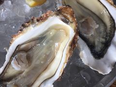-LENBACH兰巴赫西餐啤酒坊(大连东港店)