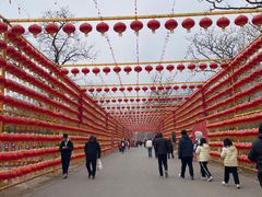 -北京凤凰岭