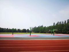 -北京市师达中学