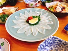 河豚鱼菊盛-天正河鲀·河豚亭(大连店)