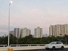 -万绿园