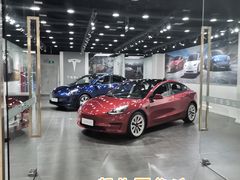 -TESLA 特斯拉(郑州正弘城体验店)