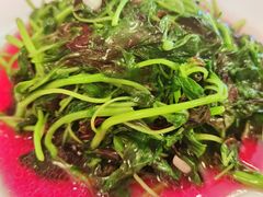 清炒米苋-新聚丰菜馆(太监弄店)