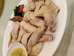 白切鸡-新东城喜宴海鲜酒家(同德店)