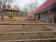 -郑州市动物园