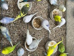 -万达广场(南京江宁店)